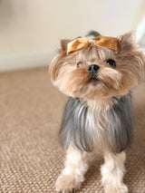 BALOVESYOU Stardust Pet Hair Clips