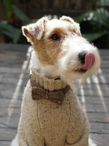 Funky Gentle Dog Series | Hand-Knitted Bow Tie in Alpaca & Wool Blend