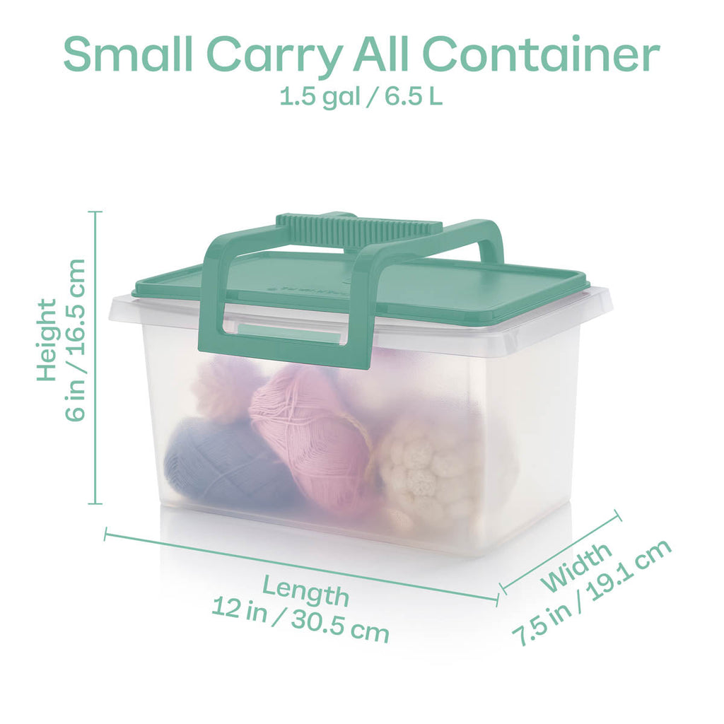 Large and Small Carry-all? Containers (Mint Ice Cream)
