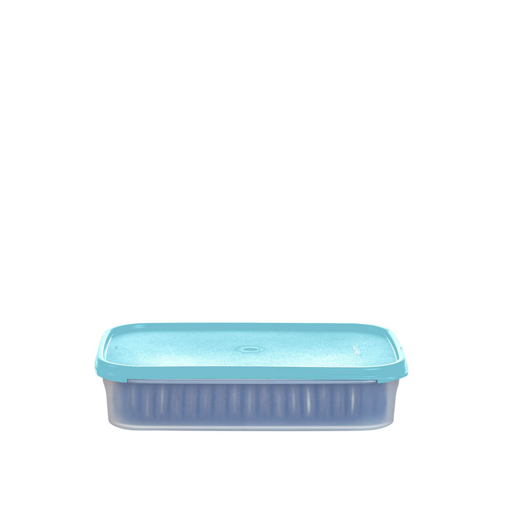 Tupperware? Modular Mates? Rectangular 1 | Food Storage Container