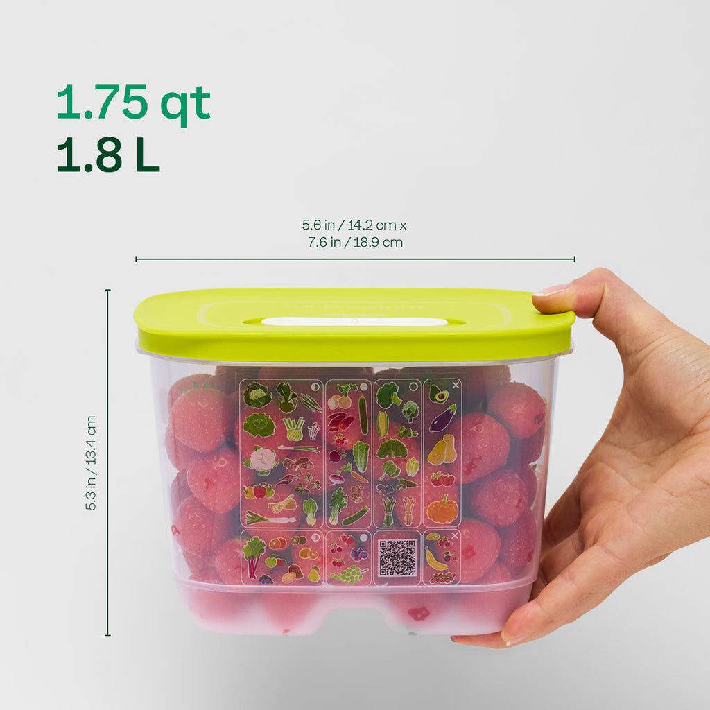 FridgeSmart? Small Deep