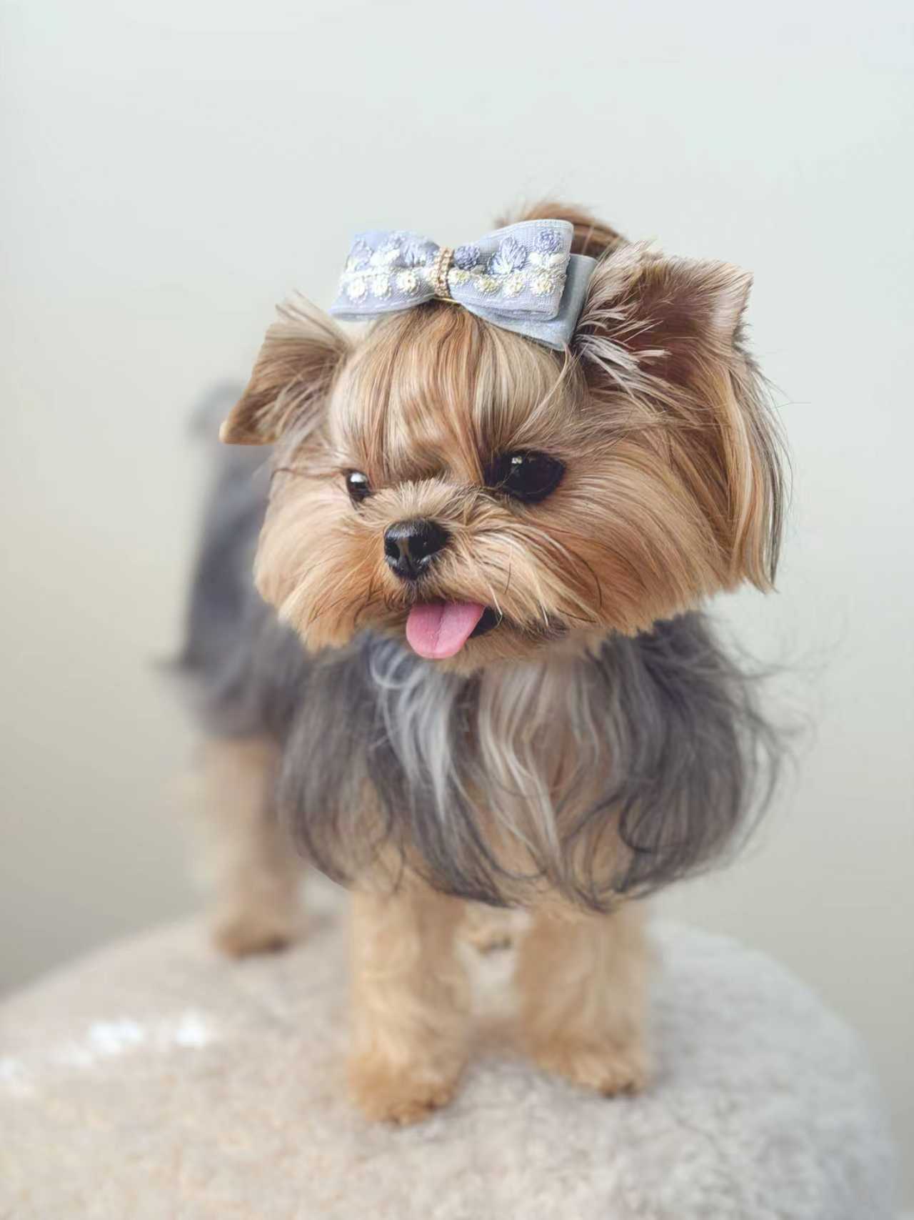 BALOVESYOU  Dawn Shimmer Pet Hair Clips