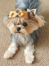 BALOVESYOU  Stardust Pet Hair Clips