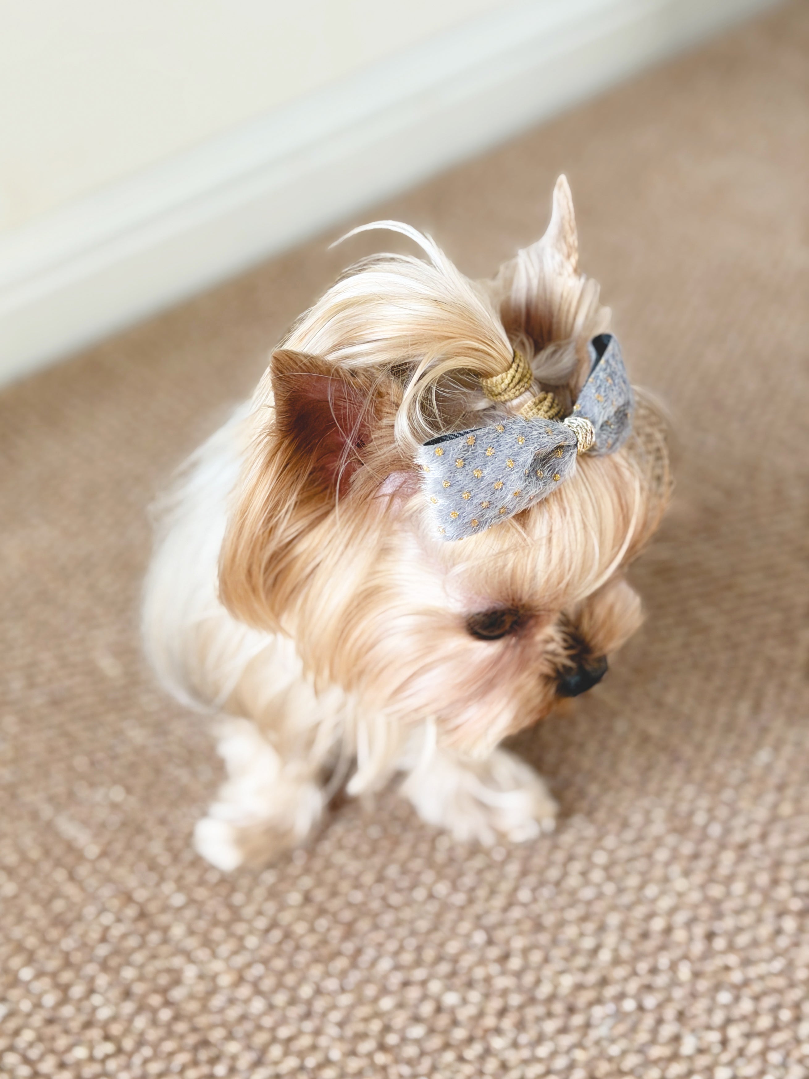 BALOVESYOU  Stardust Pet Hair Clips