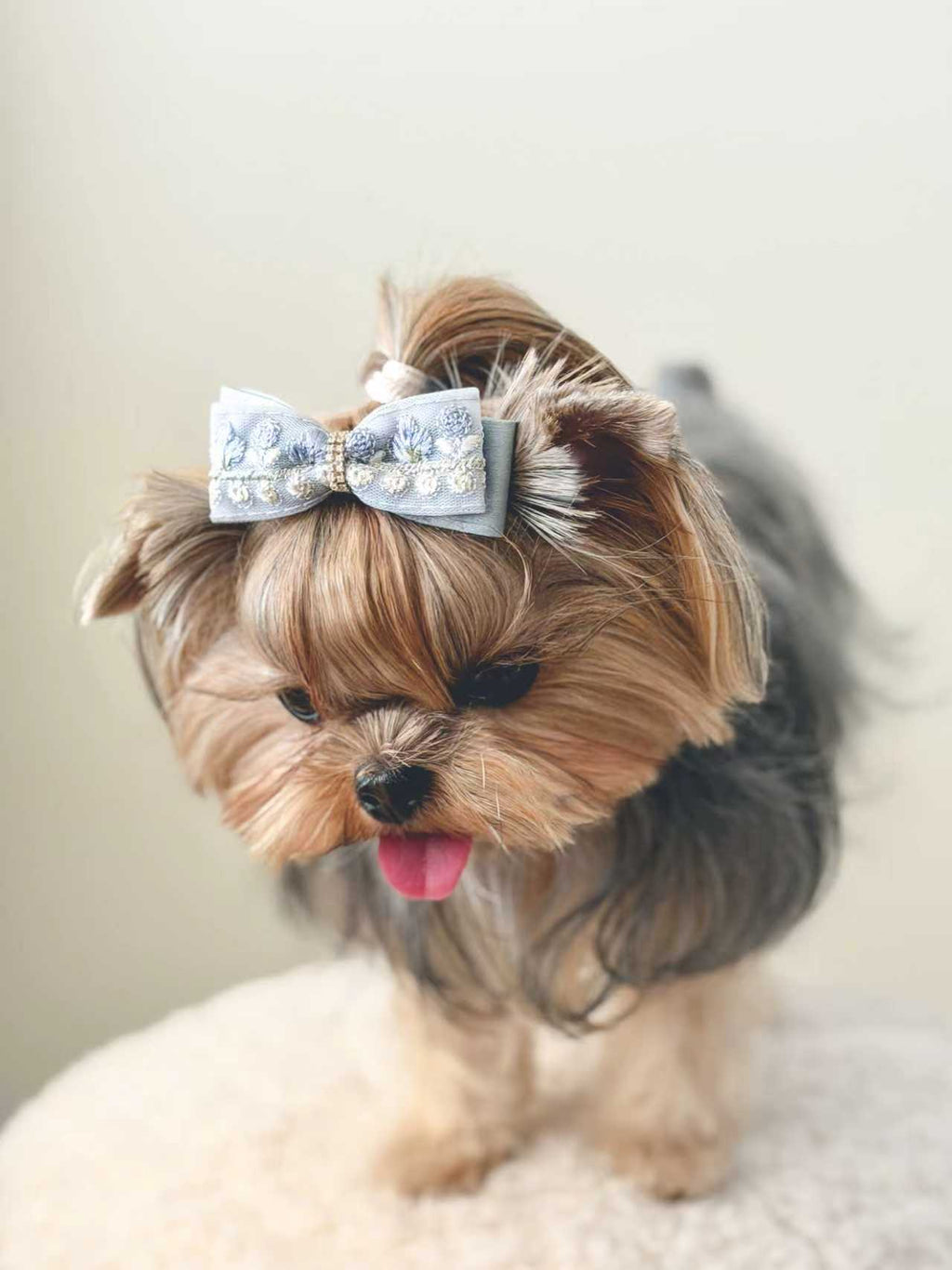 BALOVESYOU  Dawn Shimmer Pet Hair Clips