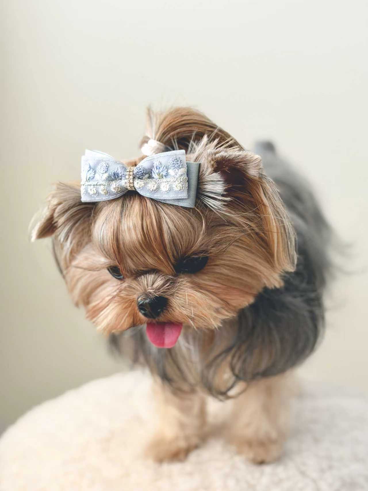 BALOVESYOU  Dawn Shimmer Pet Hair Clips
