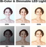 D50 LED Video Light Panel Lights 15.4", 2 Packs 45W 3000K-8000K Bi-Color Dimmable Photography Lighting, CRI 96+ Videography Lighting for Video Shooting/Gaming/Live Stream/Studio/Film