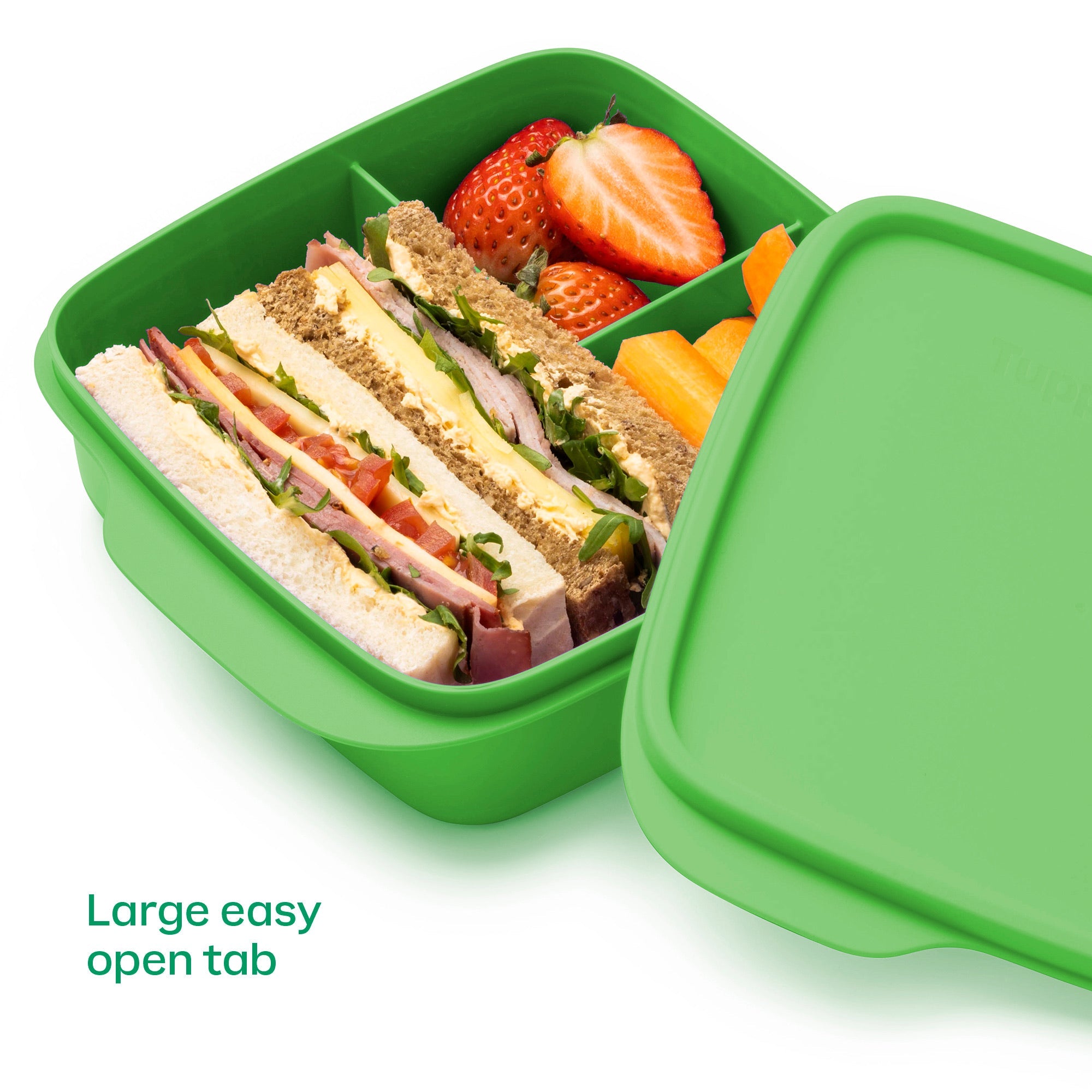 Tupperware? Lunch-It? Containers