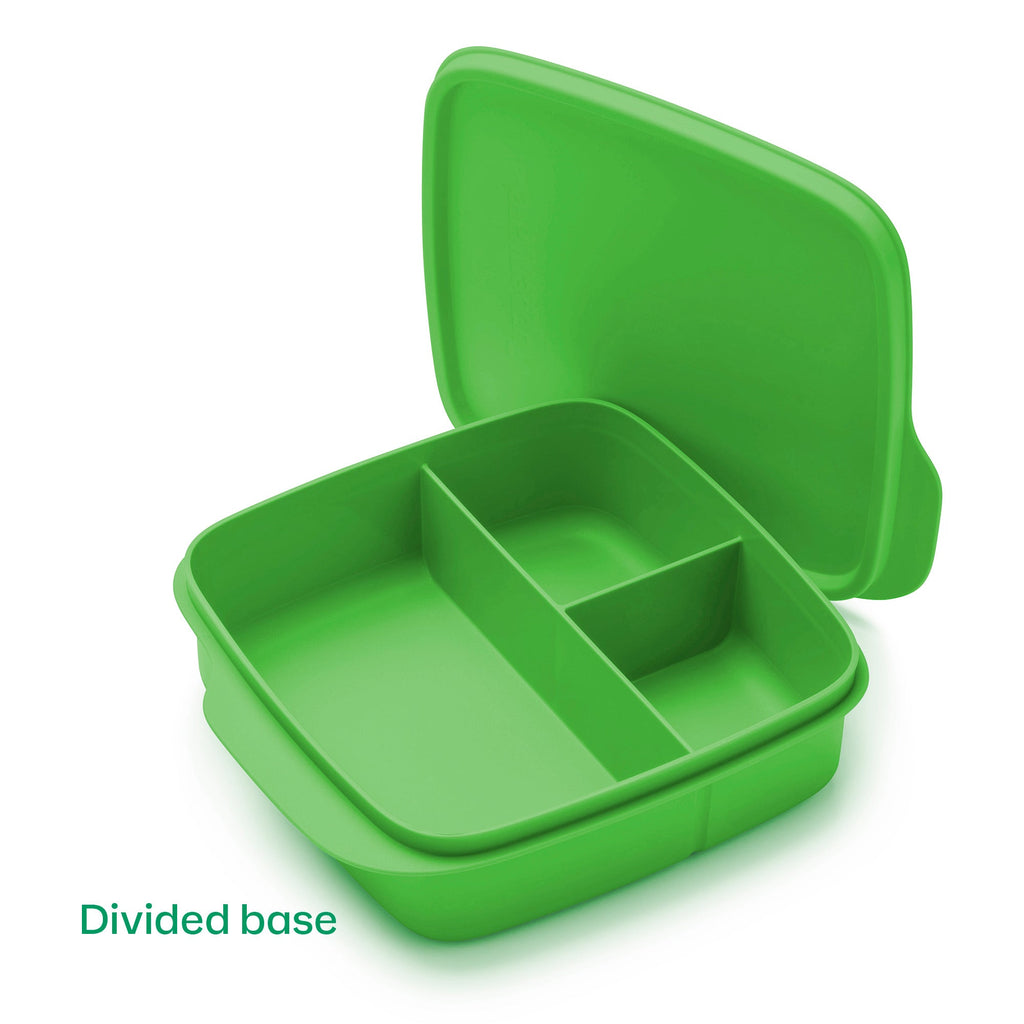 Tupperware? Lunch-It? Containers