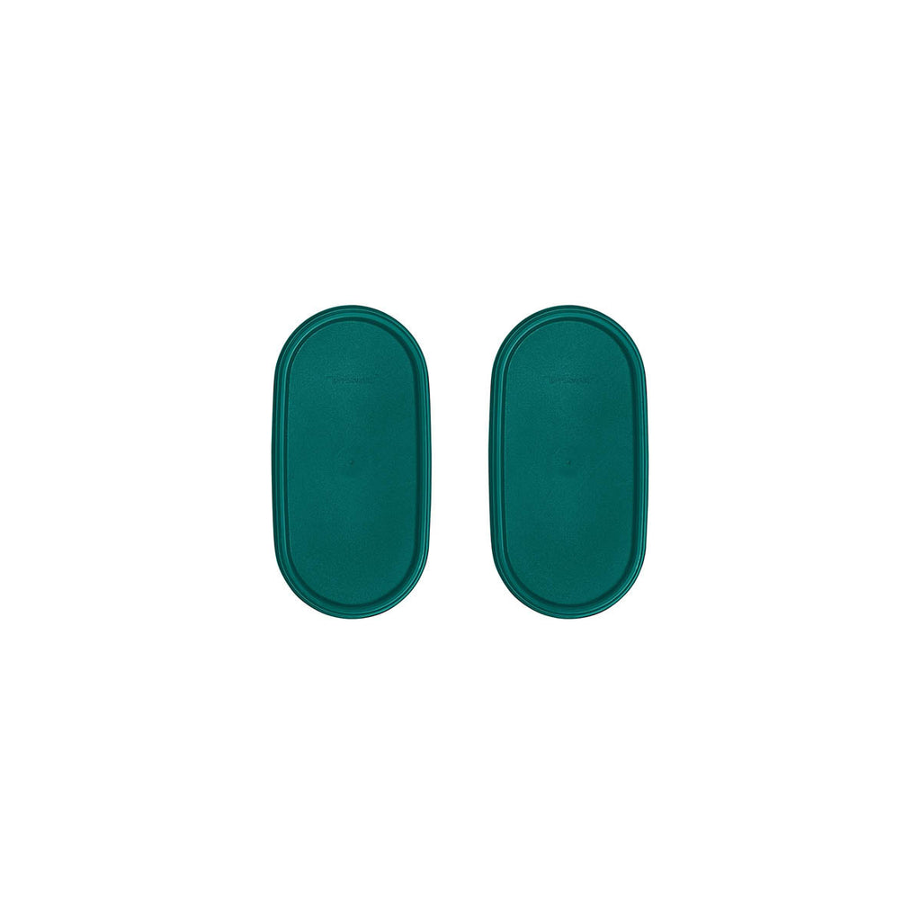 Tupperware? Modular Mates? Oval Seals