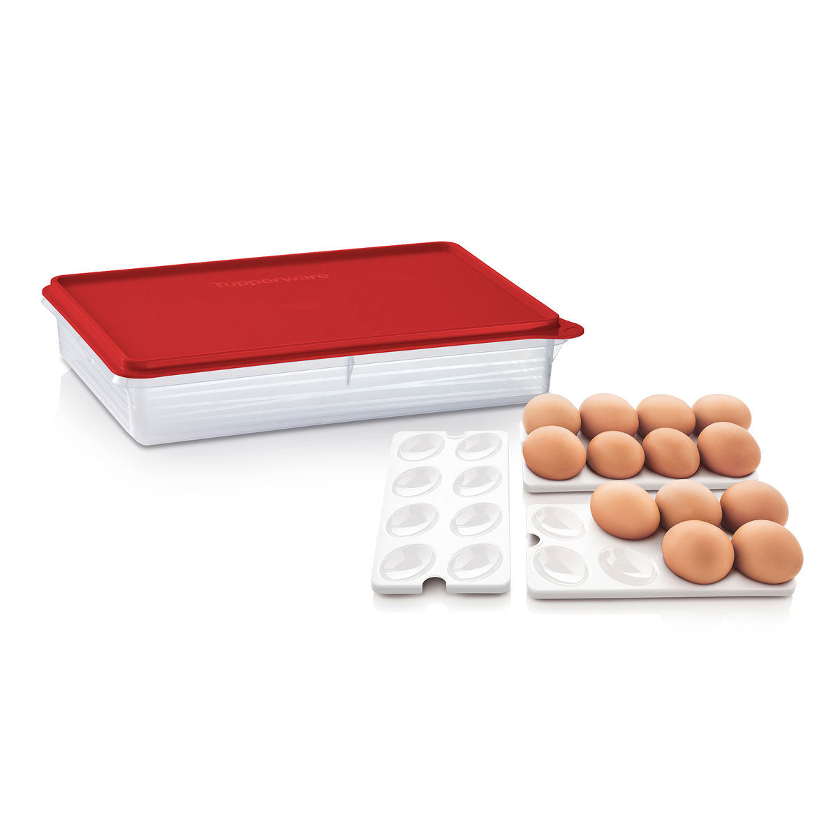 Tupperware? Snack-Stor? Large Storage Container with 3 Egg Tray Inserts