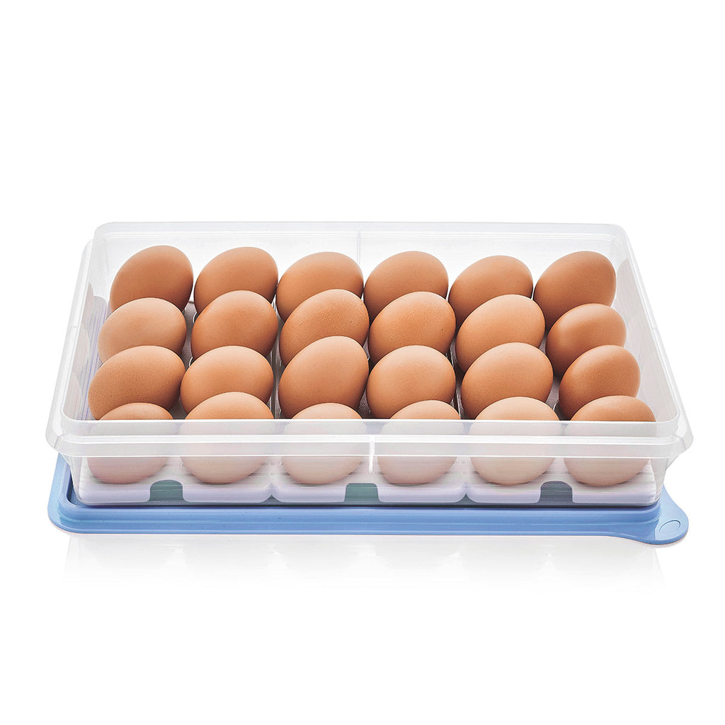 Tupperware? Snack-Stor? Large Storage Container with 3 Egg Tray Inserts