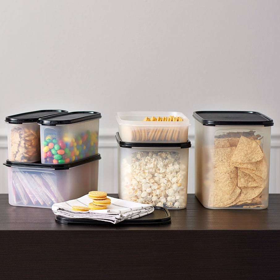 Tupperware? Modular Mates? Rectangular 4 | Food Storage Container
