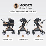 2 in 1 Baby Stroller, Convertible Bassinet Pushchair for Infants and Newborns 0-36 Months