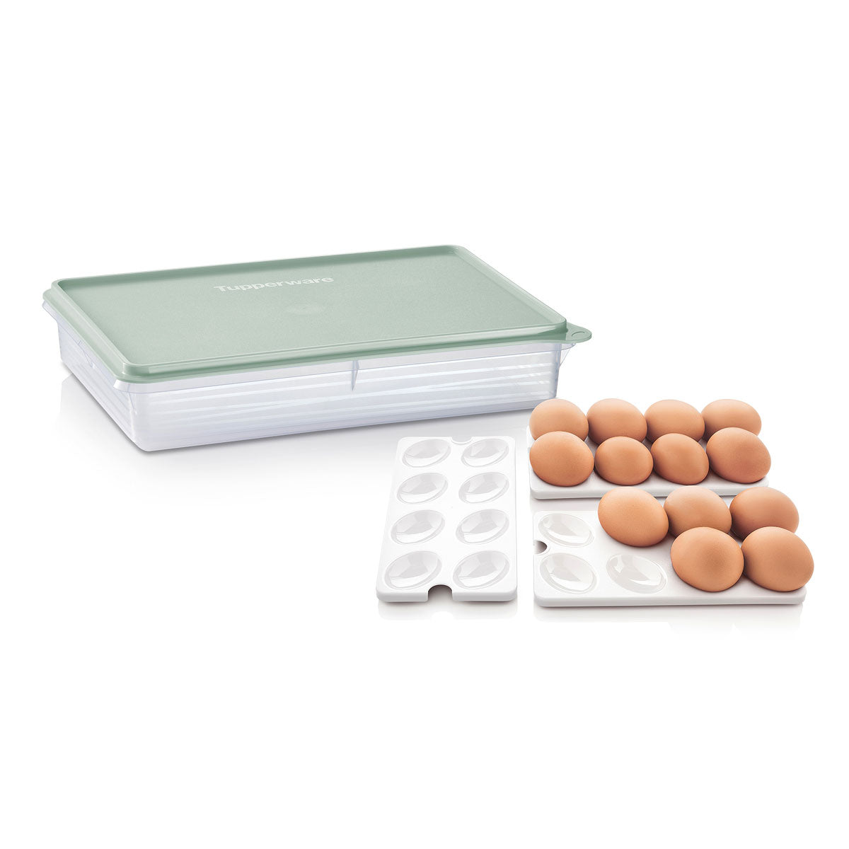 Tupperware? Snack-Stor? Large Storage Container with 3 Egg Tray Inserts