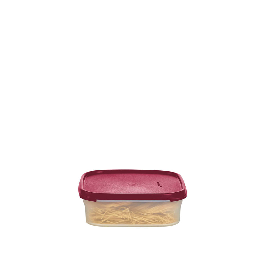 Tupperware? Modular Mates? Square 1 | Food Storage Container