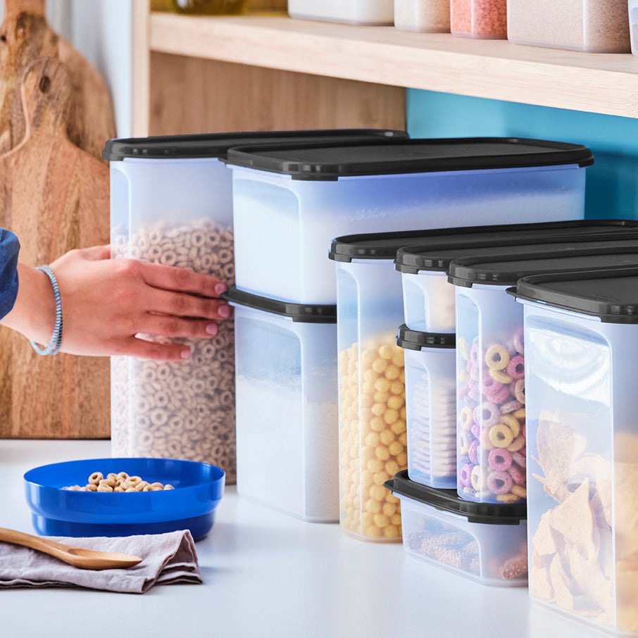 Tupperware? Modular Mates? Super Oval 5 | Food Storage Container