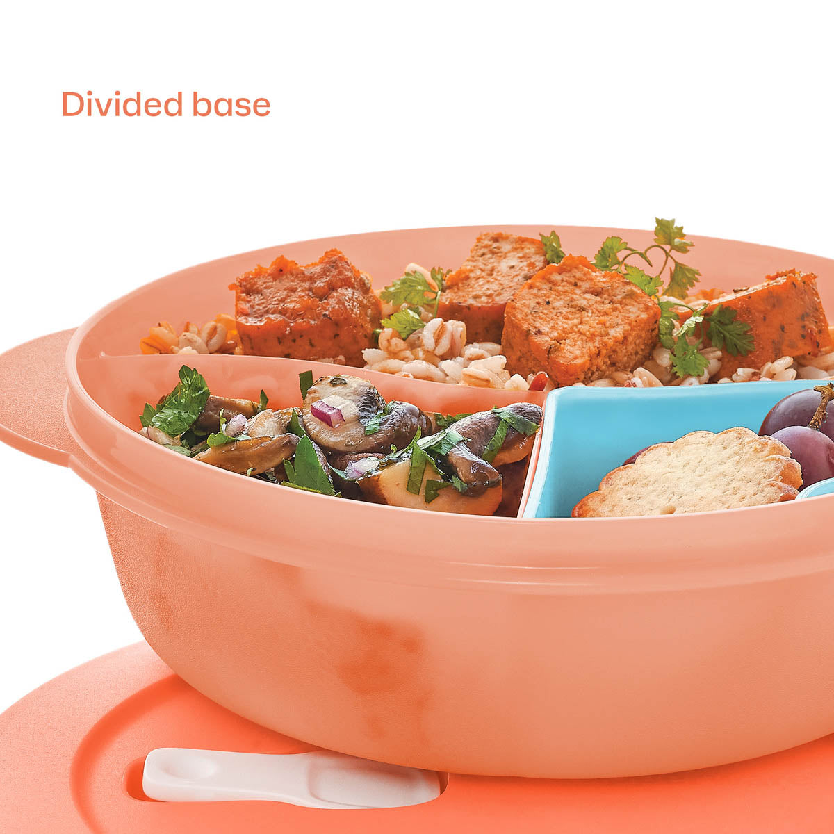 CrystalWave? PLUS | Lunch ‘N Dish with Cold Cup