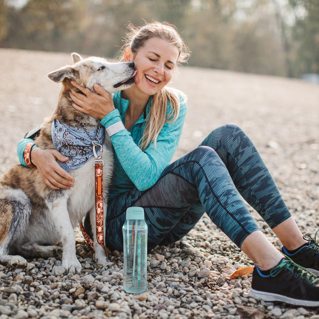 Tupperware? AquaVibe? Water Bottle | Straw. Spout & Hydration Tracker