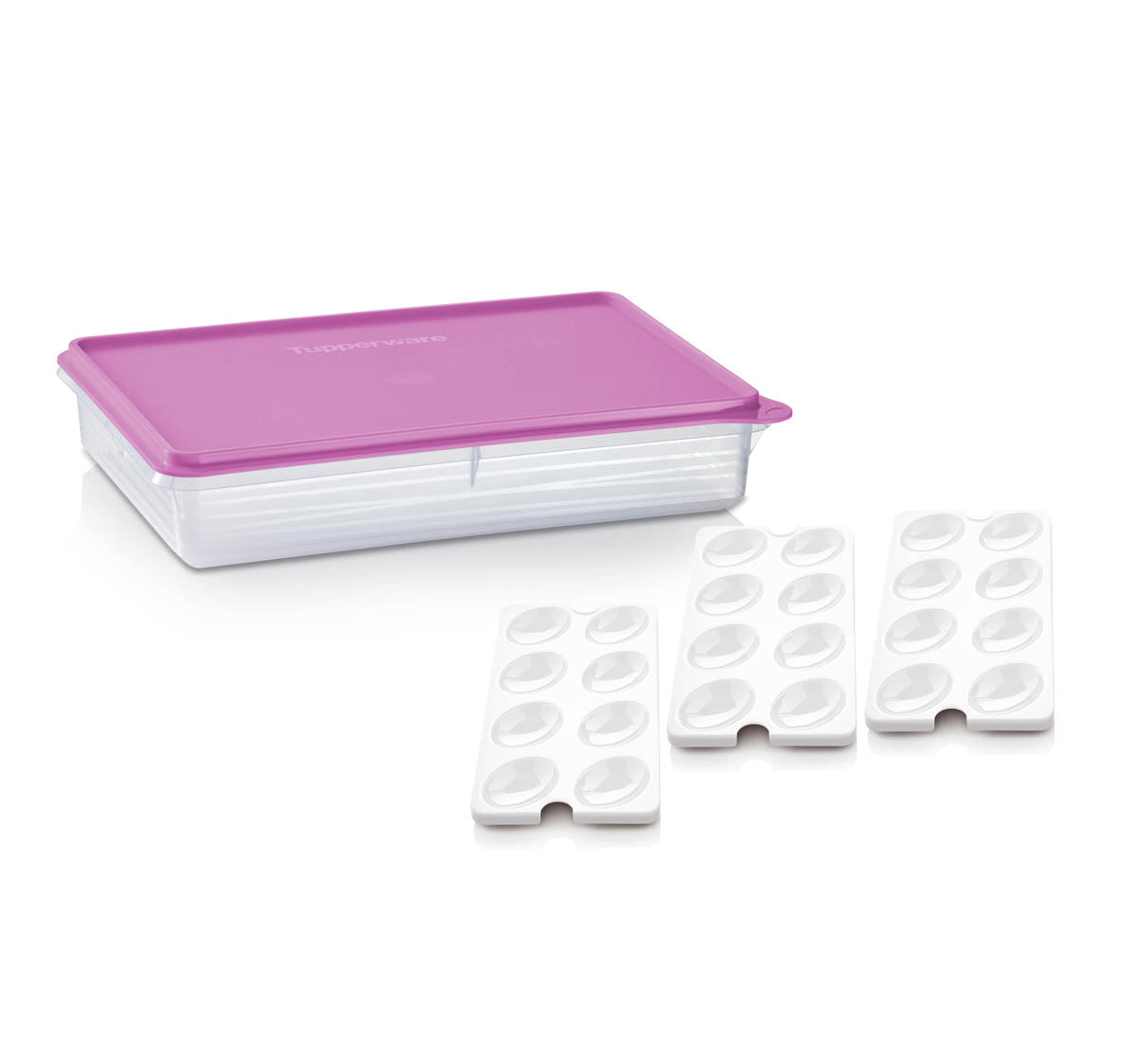 Tupperware? Snack-Stor? Large Storage Container with 3 Egg Tray Inserts