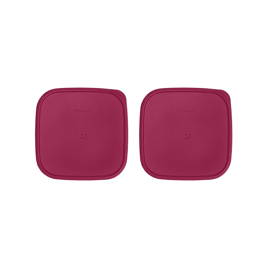 Tupperware? Modular Mates? Square Seals