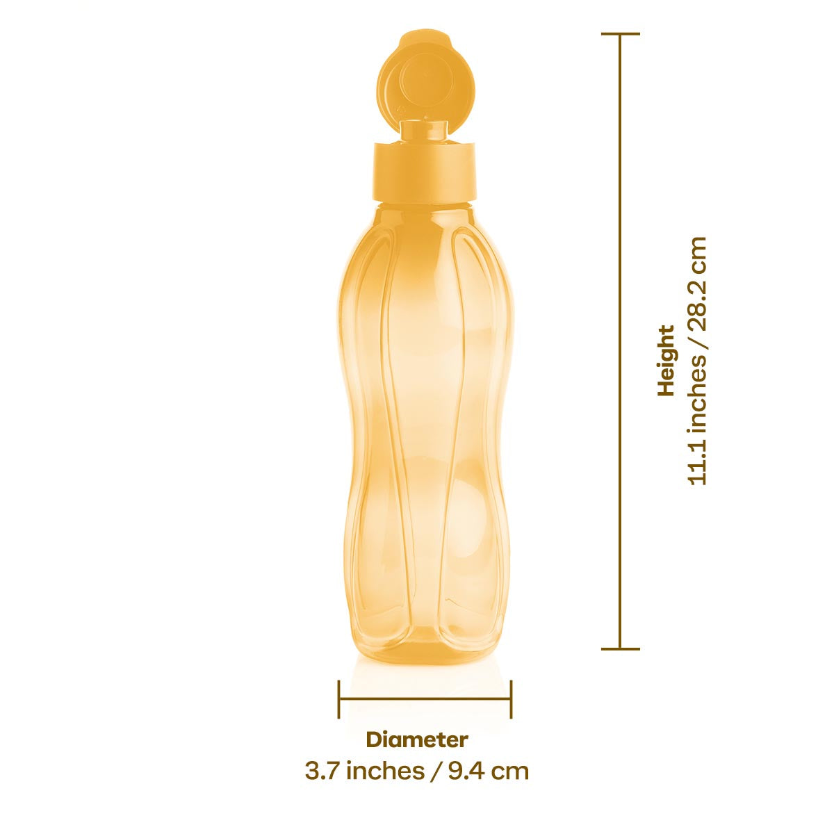 Eco+ Bottle | Large