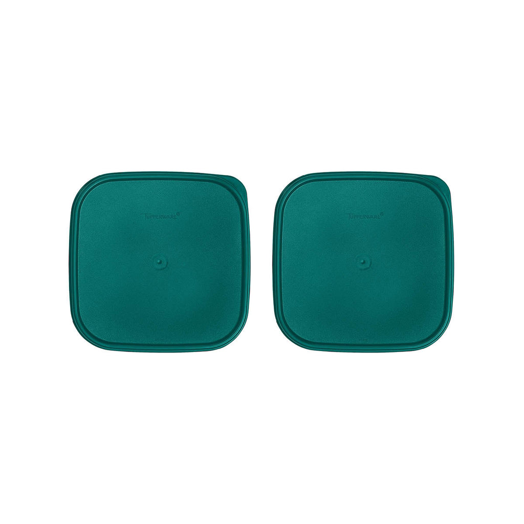 Tupperware? Modular Mates? Square Seals