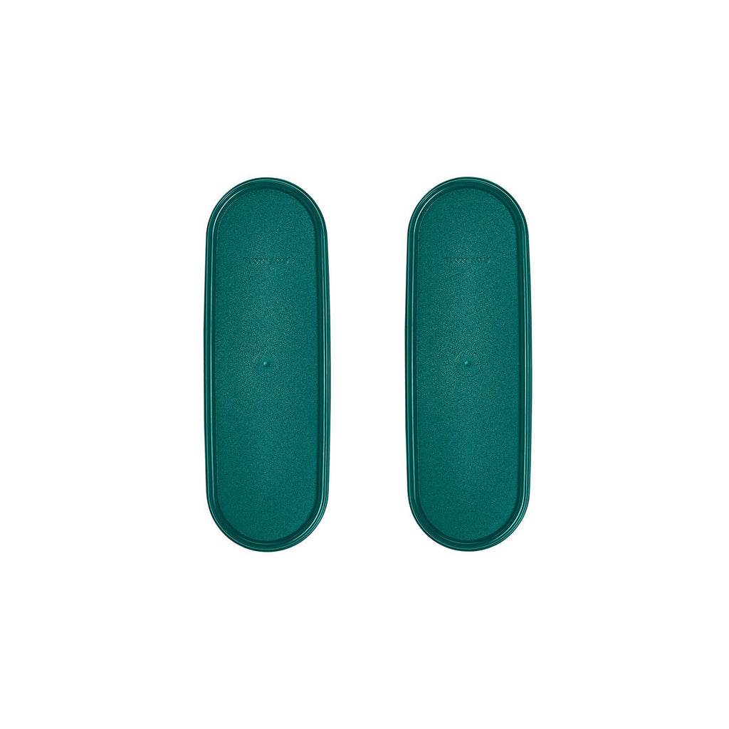 Tupperware? Modular Mates? Super Oval Seals