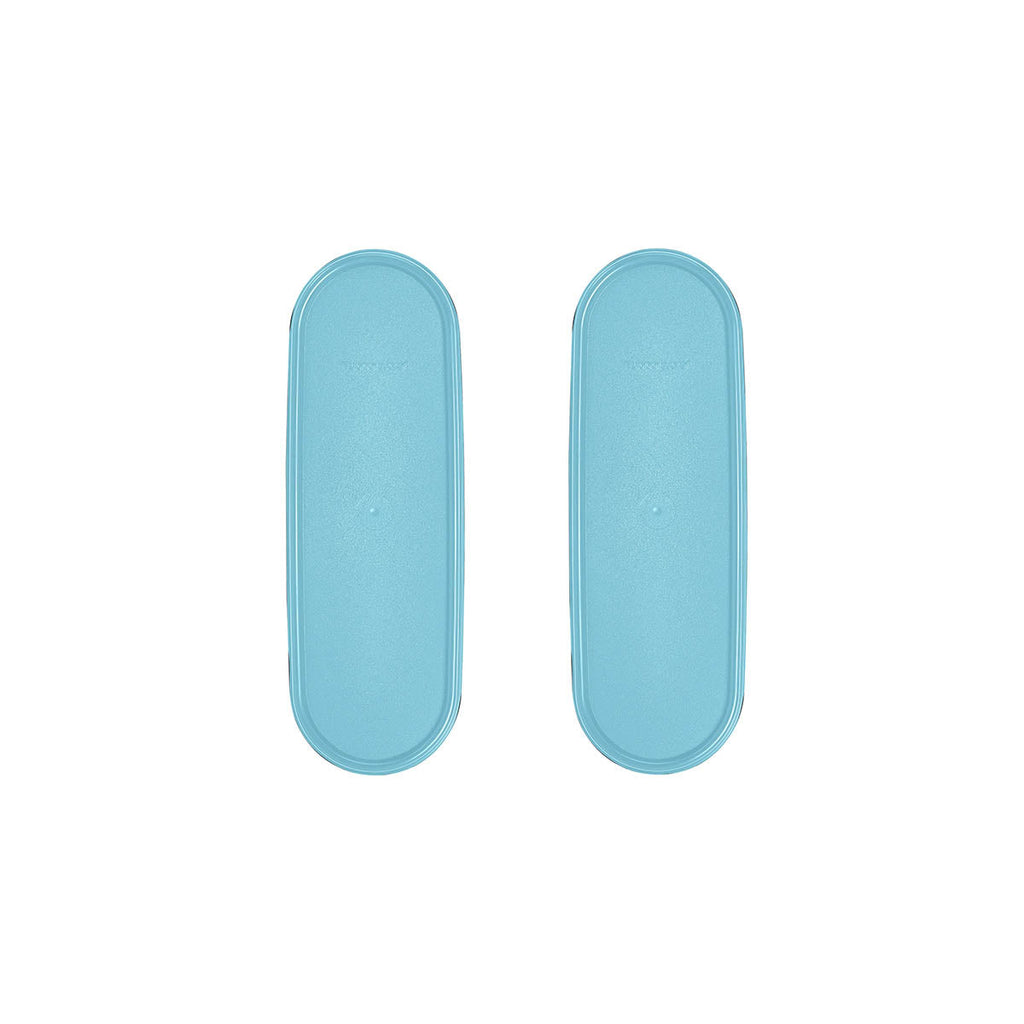 Tupperware? Modular Mates? Super Oval Seals