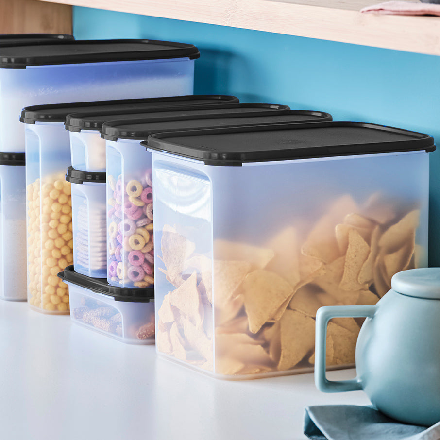Tupperware? Modular Mates? Rectangular 4 | Food Storage Container