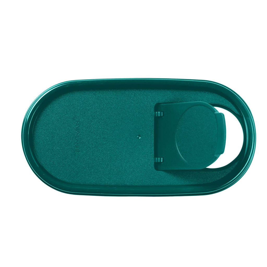 Tupperware? Modular Mates? Oval | Pour-All Seal | Food Storage