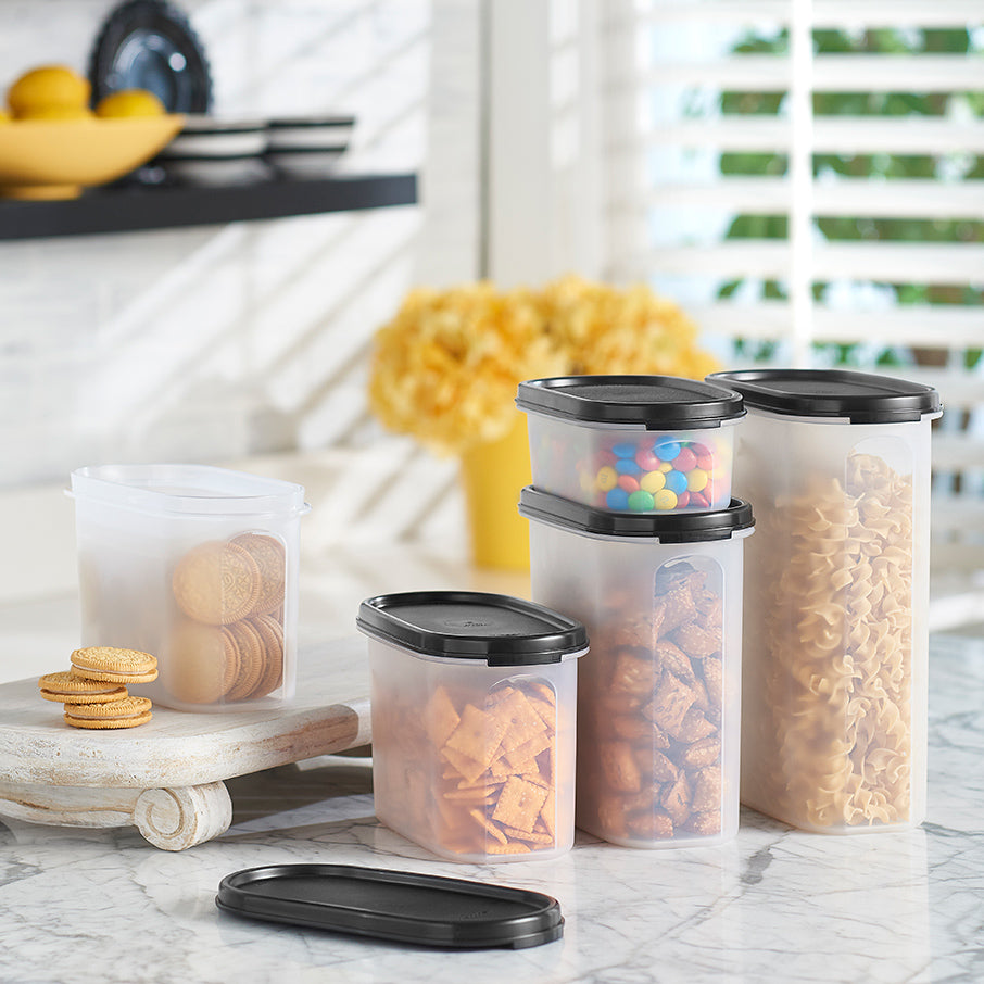 Tupperware? Modular Mates? Oval 3 | Food Storage Container