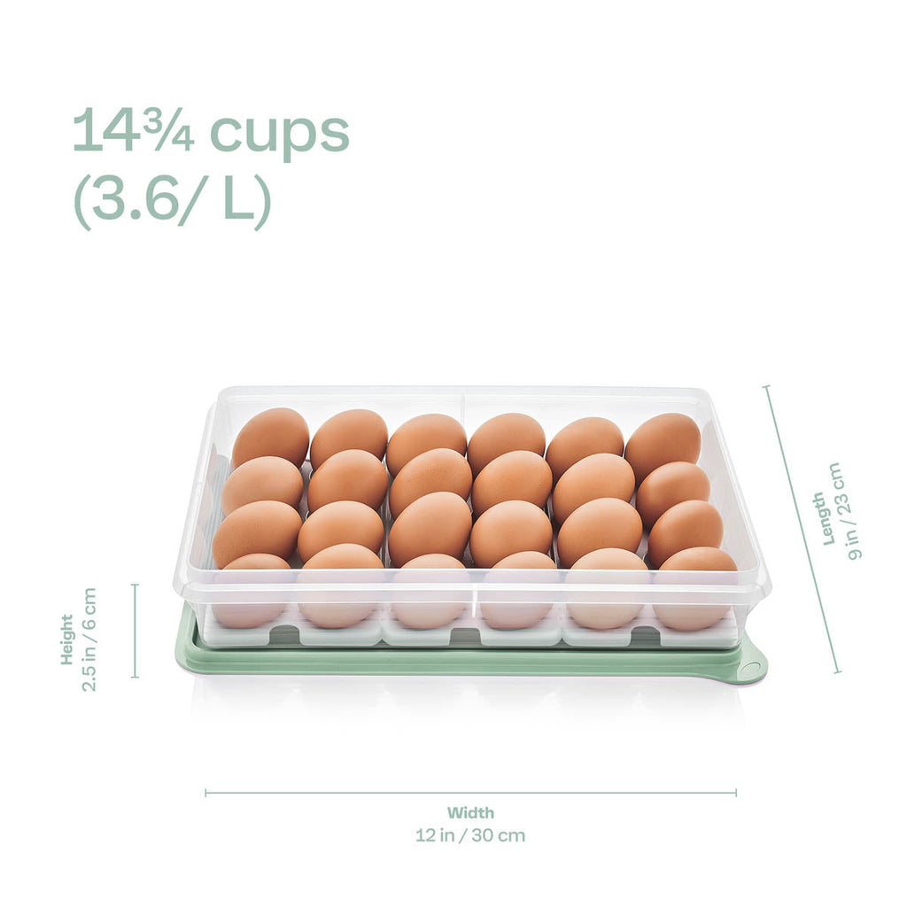 Tupperware? Snack-Stor? Large Storage Container with 3 Egg Tray Inserts