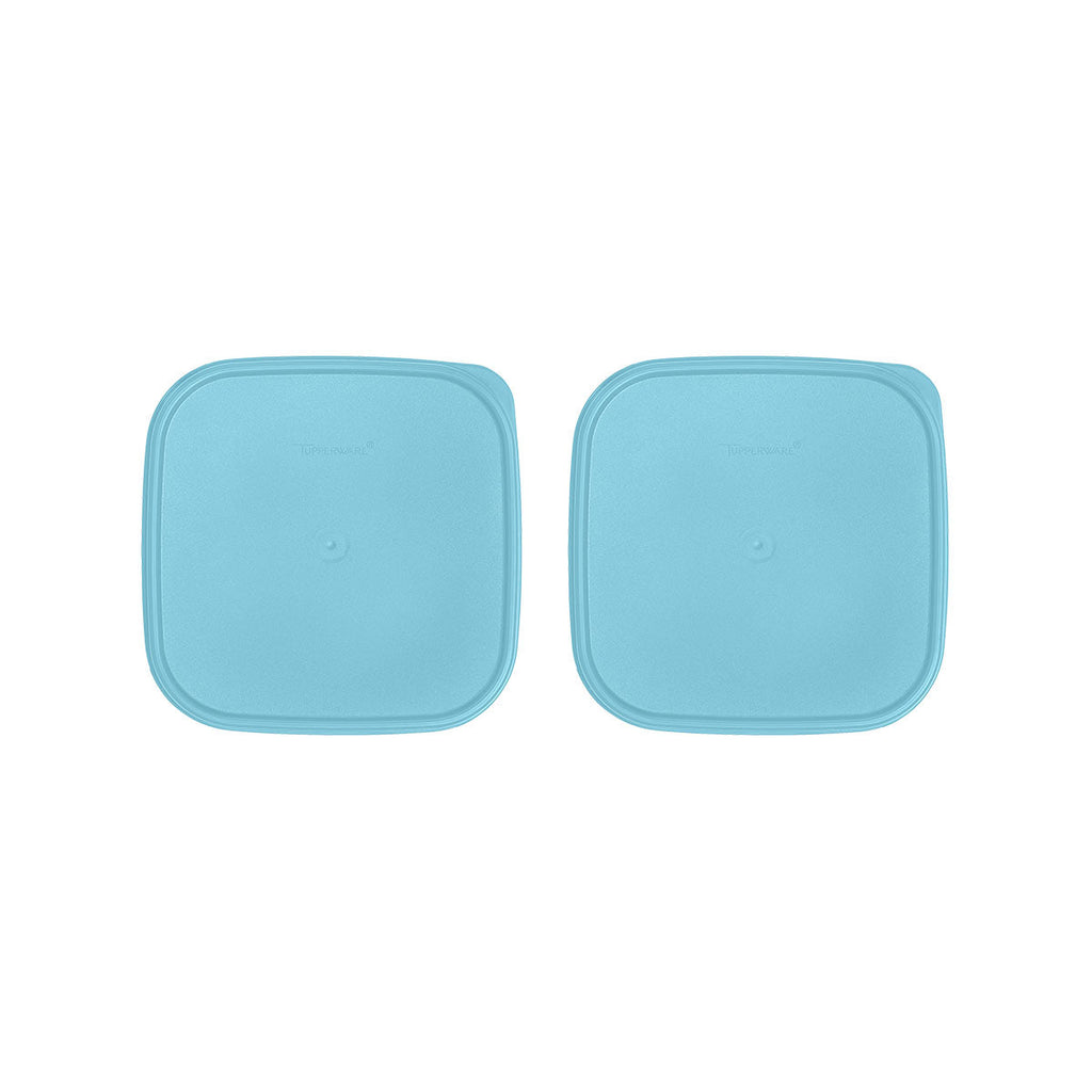 Tupperware? Modular Mates? Square Seals