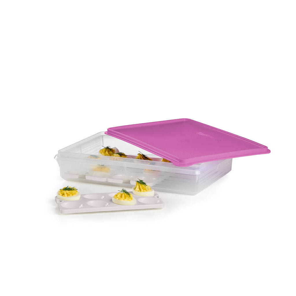 Tupperware? Snack-Stor? Large Storage Container with 3 Egg Tray Inserts