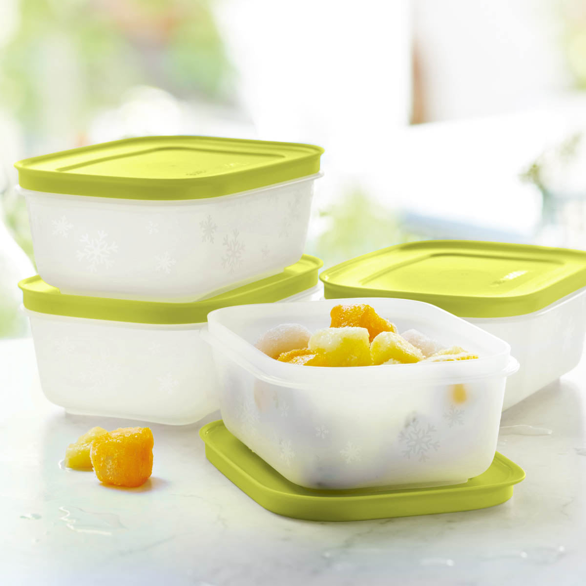 Tupperware? Freezer Mates? PLUS Small Shallow | 4-Piece Container Set