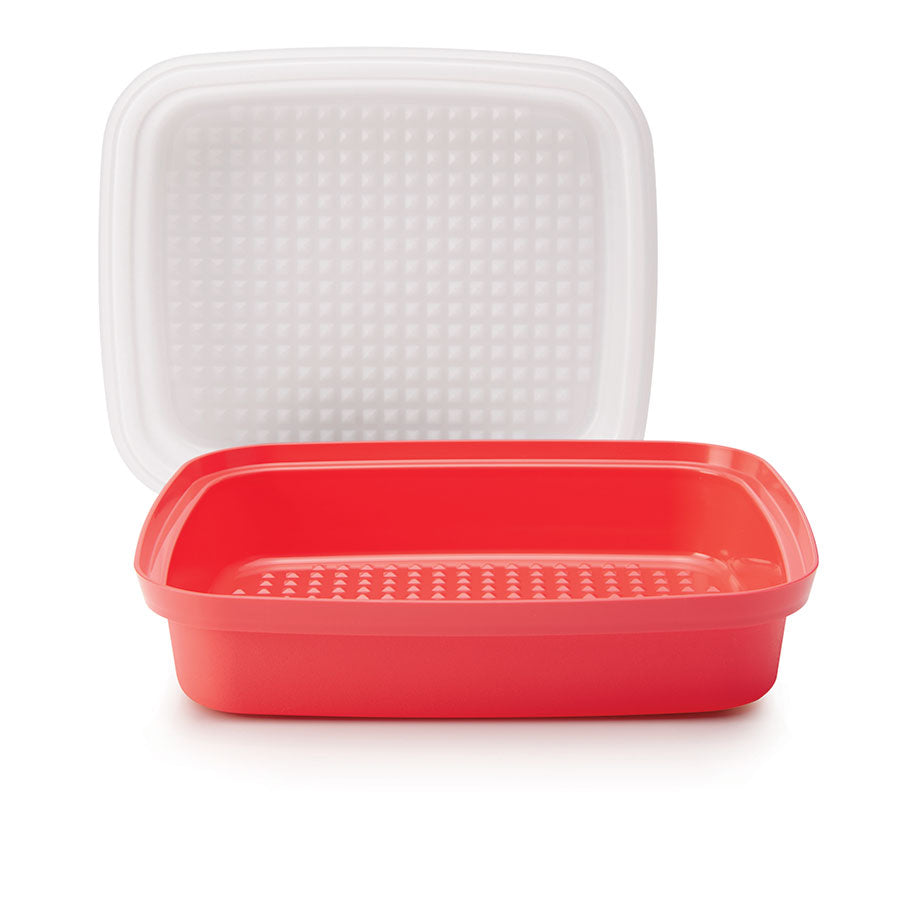 Season-Serve? Container