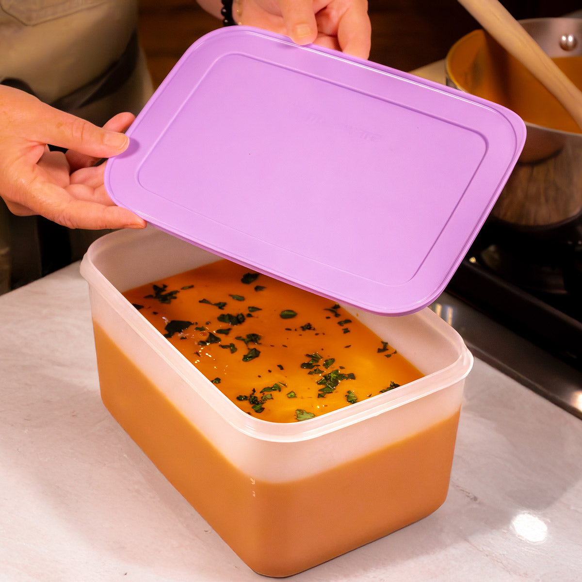 Tupperware? Freezer Mates? PLUS Medium Deep | Food Storage Container