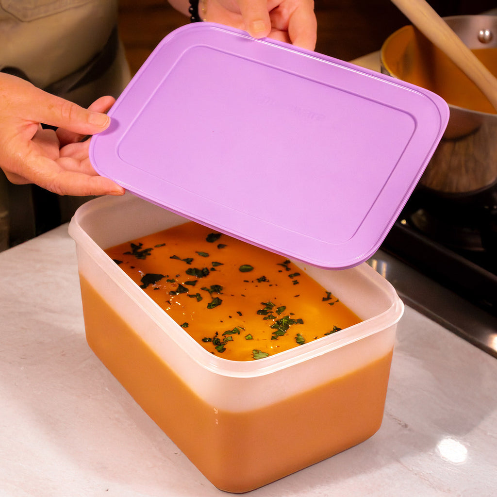 Tupperware? Freezer Mates? PLUS Medium Deep | Food Storage Container