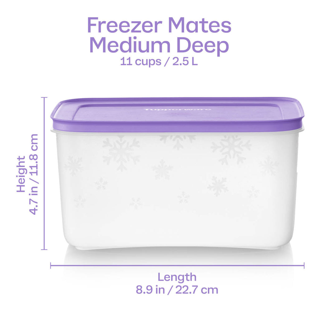 Tupperware? Freezer Mates? PLUS Medium Deep | Food Storage Container