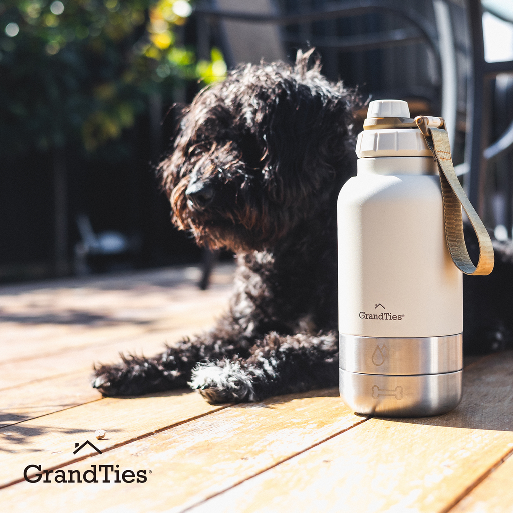 Insulated Dog Water Bottle with Bowls, Two Detachable Bowls for Dogs and Pets, Stainless Steel | 32oz/950ml