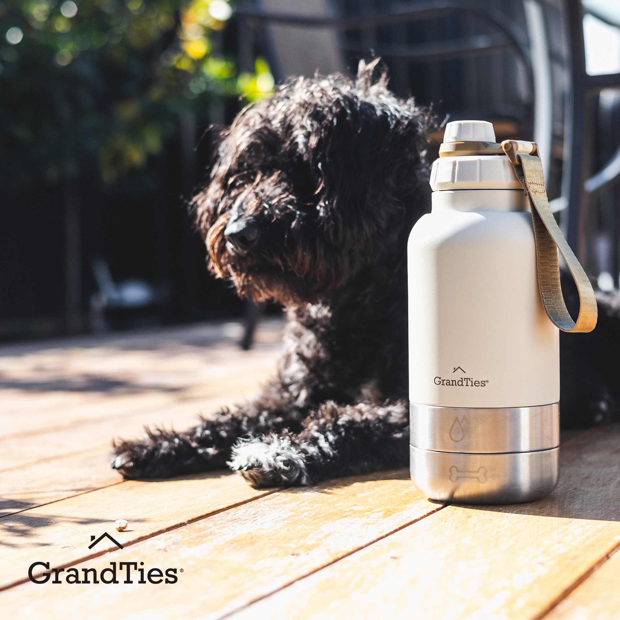 Insulated Dog Water Bottle with Bowls, Two Detachable Bowls for Dogs and Pets, Stainless Steel | 32oz/950ml