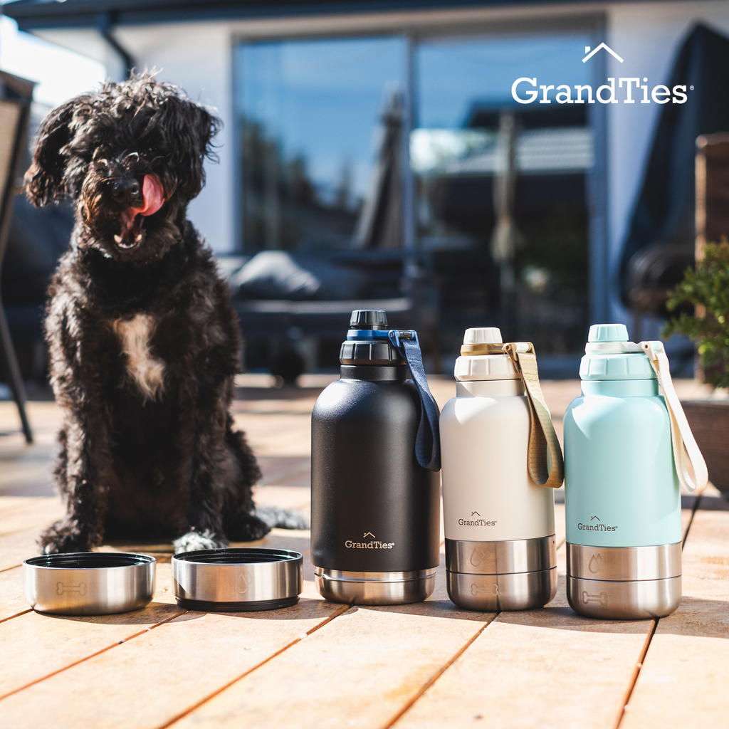 Insulated Dog Water Bottle with Bowls, Two Detachable Bowls for Dogs and Pets, Stainless Steel | 32oz/950ml