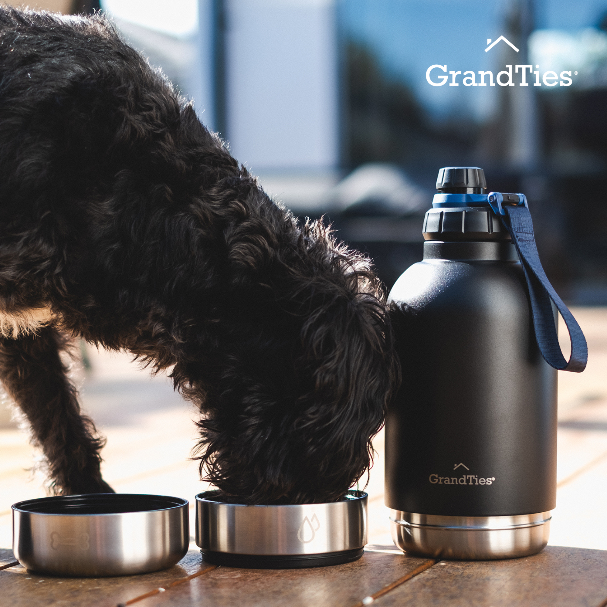Insulated Dog Water Bottle with Bowls, Two Detachable Bowls for Dogs and Pets, Stainless Steel | 32oz/950ml