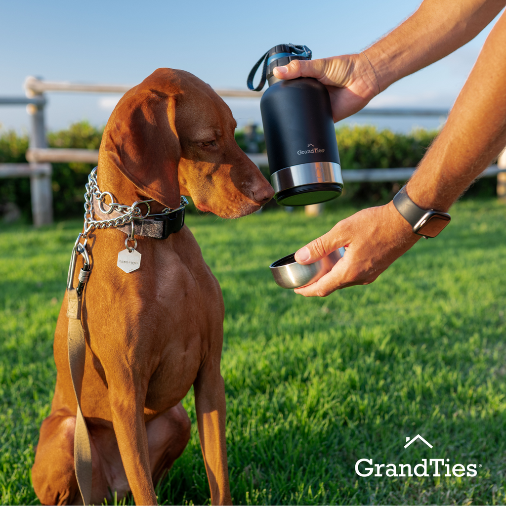 Insulated Dog Water Bottle with Bowls, Two Detachable Bowls for Dogs and Pets, Stainless Steel | 32oz/950ml