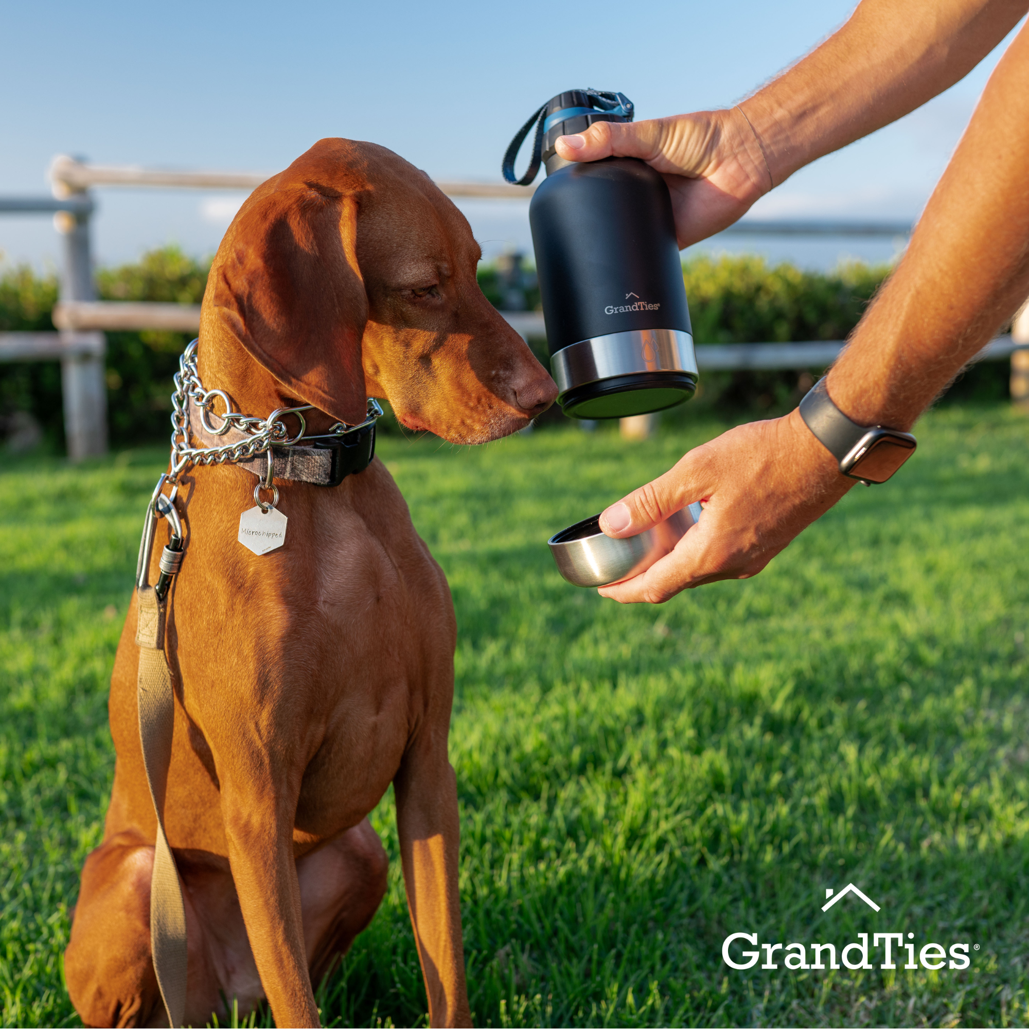 Insulated Dog Water Bottle with Bowls, Two Detachable Bowls for Dogs and Pets, Stainless Steel | 32oz/950ml