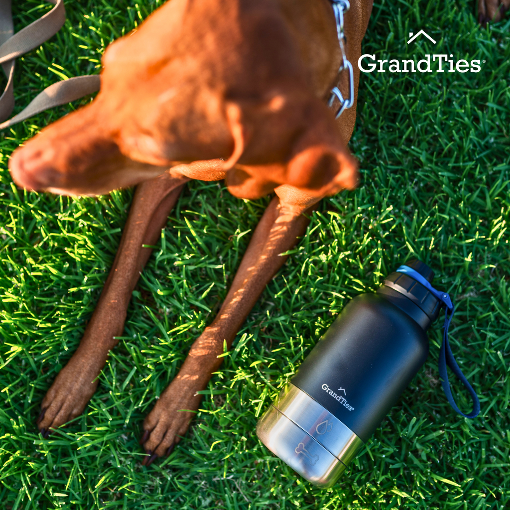 Insulated Dog Water Bottle with Bowls, Two Detachable Bowls for Dogs and Pets, Stainless Steel | 32oz/950ml