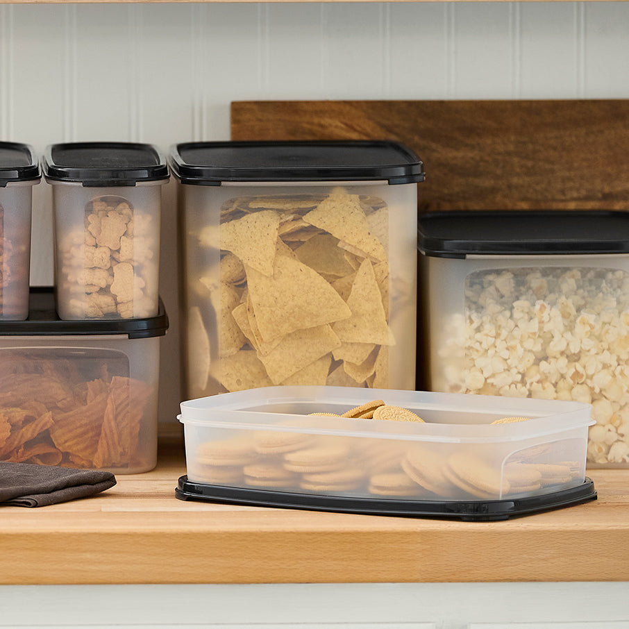 Tupperware? Modular Mates? Rectangular 1 | Food Storage Container
