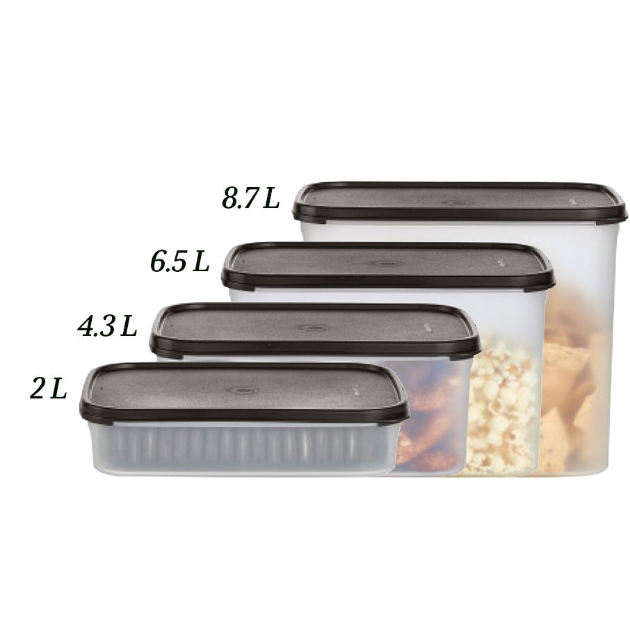 Tupperware? Modular Mates? Rectangular 1 | Food Storage Container