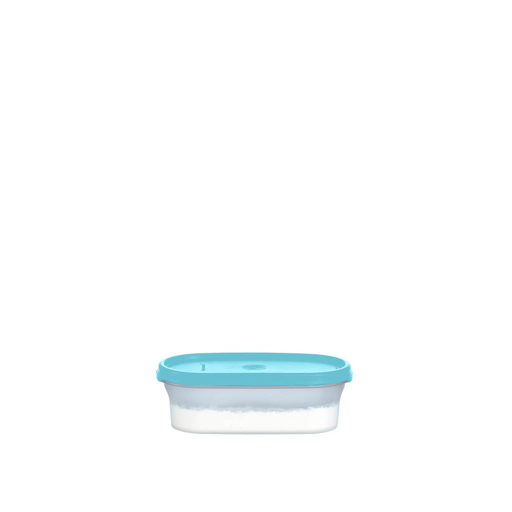Tupperware? Modular Mates? Oval 1 | Food Storage Container